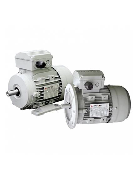 HA Series IMB14 - 2 Pole