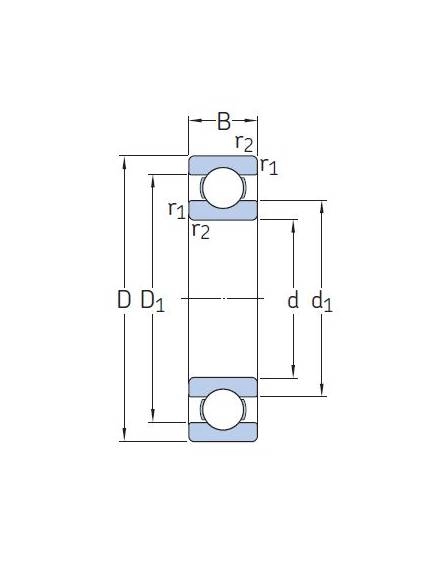 6009