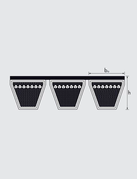 SPB