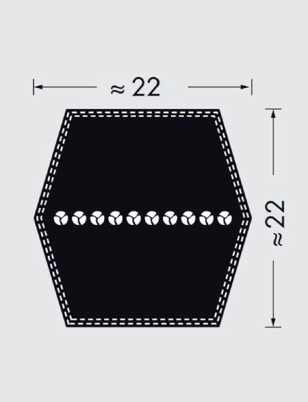 22 x 22 XXX
