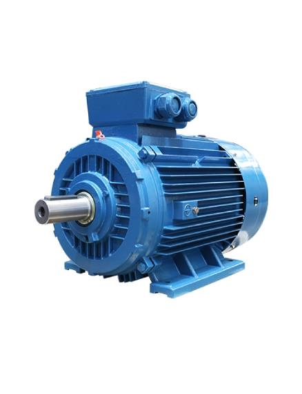 Synchronous motor B3- 6 Pole
